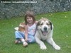 STORIE DI CANI - ARC 3